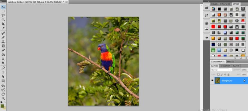 How To Reduce Image File Size In Photoshop Without Losing Quality